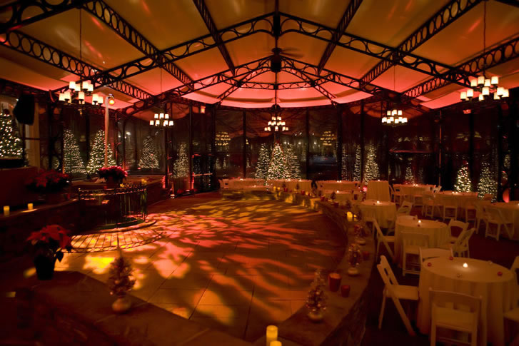 Wedding Reception Up Lighting